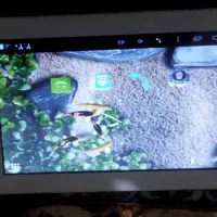 تبلت|تبلت|تبریز, |دیوار