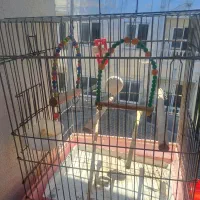 قفس پرنده