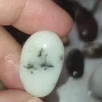 مقداری سنگ بدون تراش|جواهرات|خرم‌آباد, |دیوار