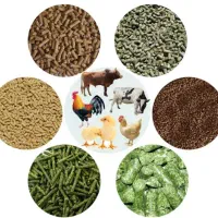 دان مرغ اماده گوشتی