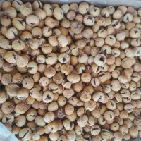 فروش بادام گردو تخمه انجیر خشک|عمده‌فروشی|لاهیجان, طالقانی|دیوار