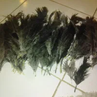 وسایل قدیمی|کلکسیون اشیاء عتیقه|تهران, امامت|دیوار