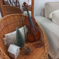 ساز ایرانی ویولون ،سه تار