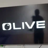 تلوزیون 50 اینچ Olive