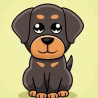 فروشنده خانم مجرد