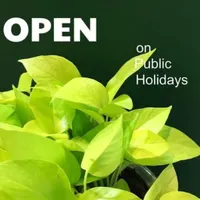 فلاور باکس،گلخانه،آبیاری قطره ای و اتوماتیک