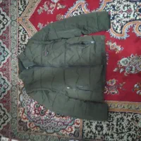 کاپشن سبز و سیاوش و کرمی|لباس|شیراز, گلشن|دیوار