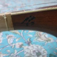 سه تار استاد مینو چهر|سازهای سنتی|تهران, دبستان|دیوار