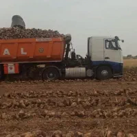 راننده پایه یک