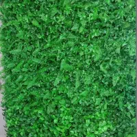 چمن مصنوعی ، گرین وال|مصالح و تجهیزات ساختمان|کرمانشاه, |دیوار