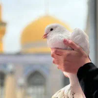 تور و بلیط مشهد مقدس ویژه نوروز (اقساطی)