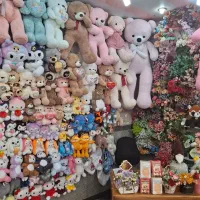 عروسک پولیشی اورجینال و ایرانی|اسباب‌بازی بچه|میانه, |دیوار