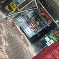واگذاری مغازه مرغ و ماهی فروشی|اجارهٔ مغازه و غرفه|کرمان, |دیوار