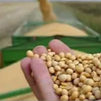 نیاز به شریک و سرمایه گذاری با بالاترین ضمانت