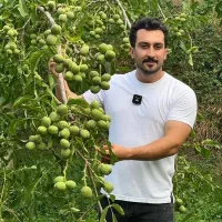 پیش فروش نهال گردو ژنوتیپ7
