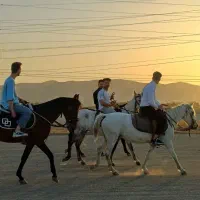 آموزش سوارکاری، گشت و طبیعت گردی با اسب|اسب و تجهیزات اسبسواری|مشهد, شهرک صنعتی توس|دیوار