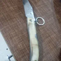 فروش چاقوی دسته شاخ|کوهنوردی و کمپینگ|بوکان, |دیوار