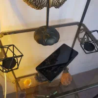 Xiaomi 13 lite