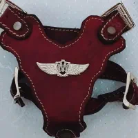 سینه بند کوچک