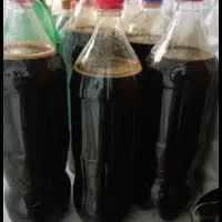 شیره انگور و باسلوق|حراج|قم, دورشهر|دیوار