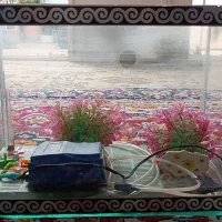 آکواریوم جلوشیشه خم