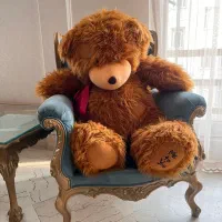 خرس ولنتاینی