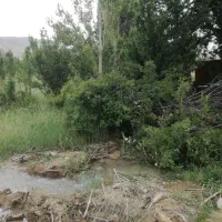 باغ-گلابی