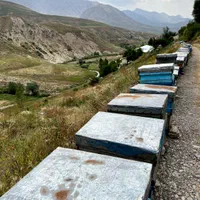 لوازم زنبورداری