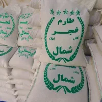 برنج فجر