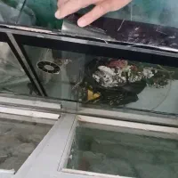 اکواریوم|لوازم جانبی حیوانات|اهر, |دیوار