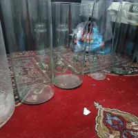 غذای ماهی و تنگ آکواریومی|ماهی|کرمانشاه, |دیوار