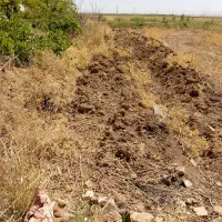 زمین  ۸۰۰ متری سند دار کهریز الهیه|فروش زمین و ملک کلنگی|کرمانشاه, |دیوار