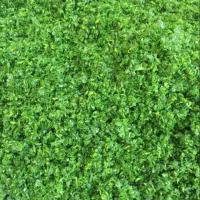 سبزی فروشی|خوردنی و آشامیدنی|مهران (ایلام), |دیوار