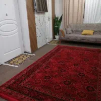 قالی ۶ متری لاکی رنگ و قالی ۱۲ طوسی