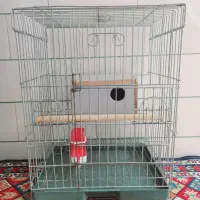 قفسه عروس هلندی