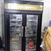 فریزر ویترینی دو درب