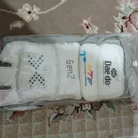 روپایی سنسوری تکواندو