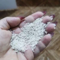 برنج ایرانی عنبربو وچمپا و کامفیروز تکی و عمده