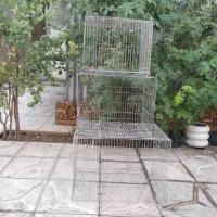 قفس پرنده|لوازم جانبی حیوانات|رومشکان, |دیوار