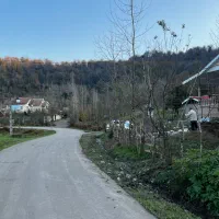 518متر-مجوزساخت-پلاک-1-جنگل-برآسفالت