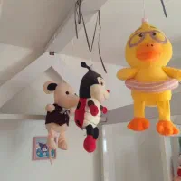 تخت خواب کودک نوجوان نو|تخت و سرویس خواب|کیاشهر, |دیوار