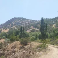 سرمایه گذاری و شراکت در باغ