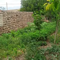 زمین مسکونی ۳۴۰مترروستای احمدآباد|فروش زمین و ملک کلنگی|مشگین شهر, |دیوار