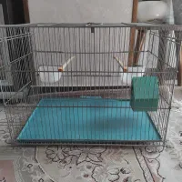 قفس پرنده