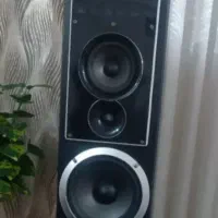 دو عدد اسپیکر خانگی نیازمند تعمییر