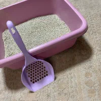 ظرف خاک و پارک بازی