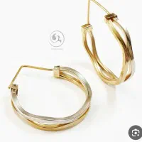 یک جفت گوشواره حلقه گم شده