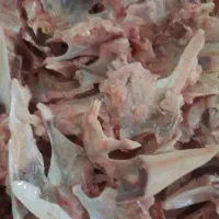اسکلت استخوان کمر گردن غذای سگ ضایعات مرغ