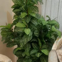 درختچه مصنوعی پر برگ