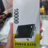 پاوربانک ای دیتا